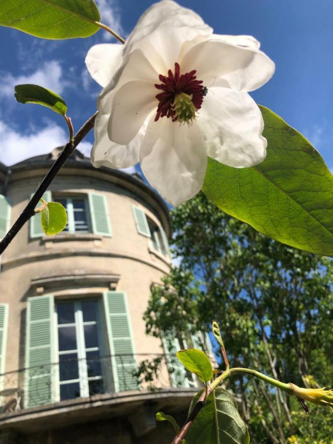 Castel Saint-Leonard Bed & Breakfast Falaise  Eksteriør bilde